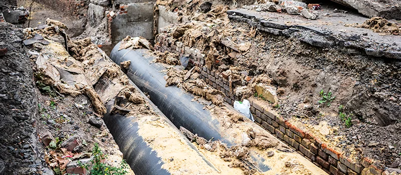 Commercial Sewer Tree Roots Damage Solutions in Midhurst, ON