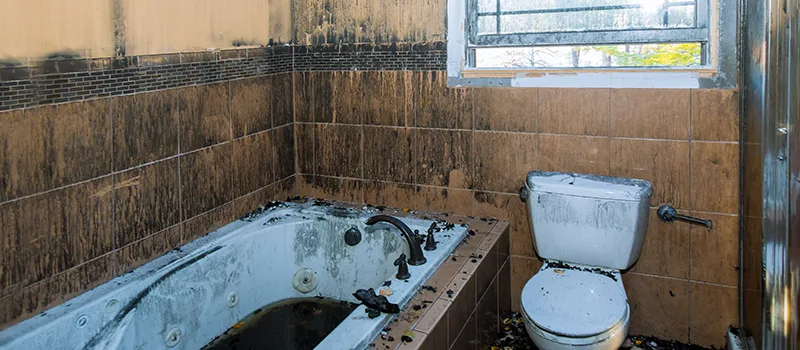 Residential Water Damage Restoration in Midhurst, ON