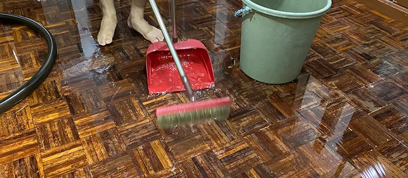 Water Removal And Restoration Services in Midhurst, ON