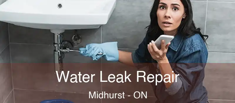  Water Leak Repair Midhurst - ON